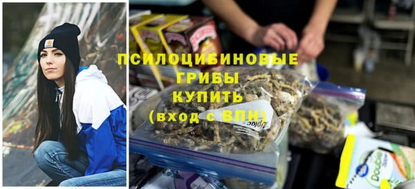 марки lsd Бугульма