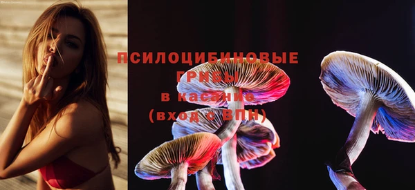 марки lsd Бугульма