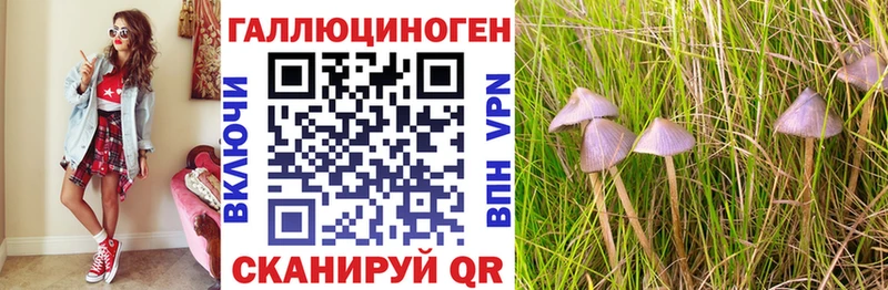 Галлюциногенные грибы мицелий  Нелидово 
